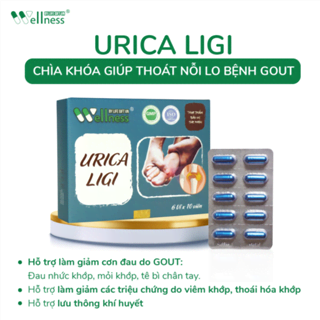 Thực phẩm hỗ trợ Gout URICA LIGI
