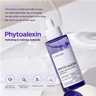 Tinh chất phục hồi Phyto-Alexin 50ml kèm bộ sản phẩm